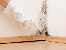 Mold Documentation for Insurance Claims in Casa Blanca, AZ